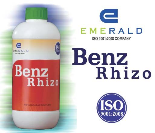 Phosphate Solubilizing Bacteria Biofertilizer