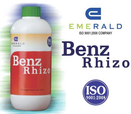 Rhizobium Biofertilizer