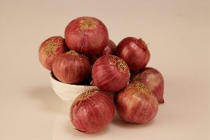 Onion