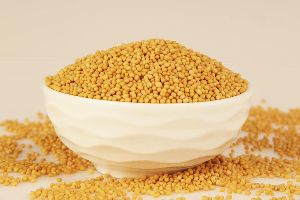 Yellow Mustard Seeds