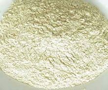 White Onion Powder