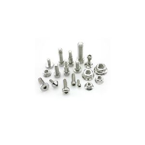 Stainless Steel Fastener