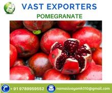 Pomegranate