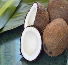 Fresh Mature Coconut