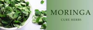 Moringa Dry Leaf