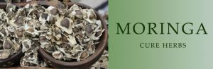 Moringa Seed