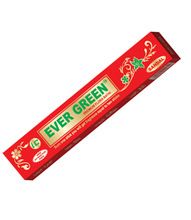 Evergreen Aromatic Incense Stick