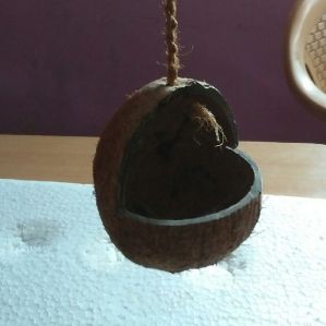 Coconut Shell Bird Feeder