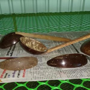 coconut shell serving spoon