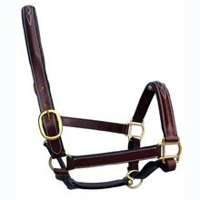 Padded and Raised Leather Halter