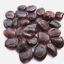 Tamarind Seeds