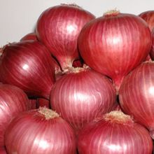 Onions