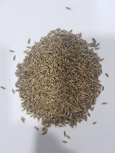 Cumin seeds 99.5%