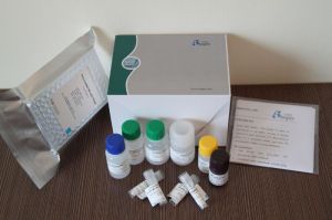 Food Elisa Kit