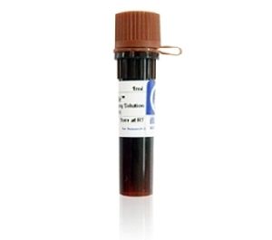 RedSafe Nucleic Acid Staining Solution