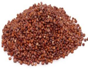 Red Quinoa Grain Seeds