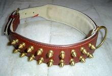 Leather Pet Collar
