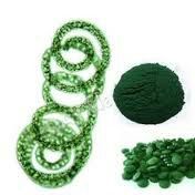 Spirulina