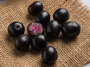 Fresh Jamun