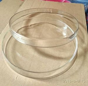 Borosilicat Clear Petri Dish