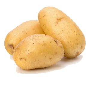 Potato