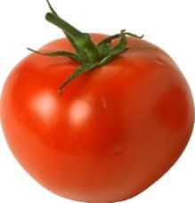 Tomato