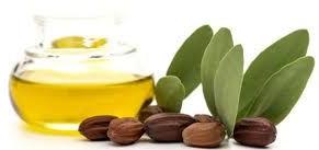 Jojoba Oil