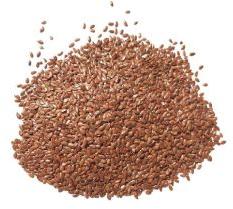 Flax Seed