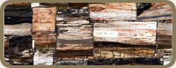 PETRIFIED WOOD CLASSIC SEMI PRECIOUS STONE