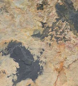 Indian Autumn Opaque Series Slate