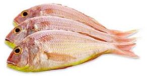 Fresh Pink Perch Fish