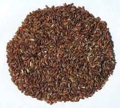 Nagli Seeds