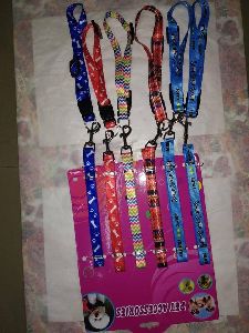 Puppy Leash With Collar Set
