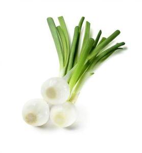 Fresh Green Onion