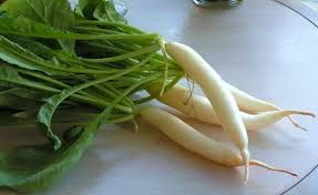 Fresh Radish