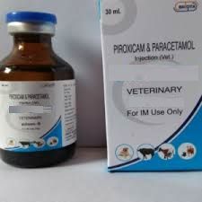 Veterinary Piroxicam Paracetamol Injection