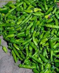 Fresh Green Chilli