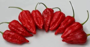 Fresh Naga Chili