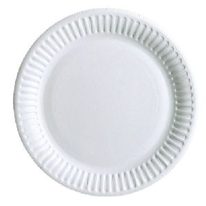 Disposable White Paper Plates