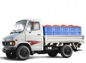 vegetables transportation services