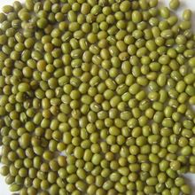 Whole Green Lentils