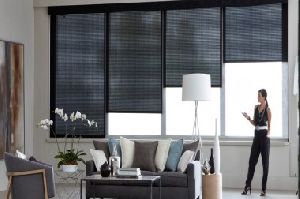 Remote Motorized Blinds