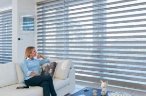 Triple Shade Blinds