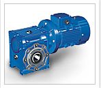 Gear Motor