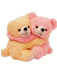 Teddy Love Pair