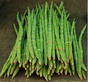 vegetable drumstick moringa oleferide