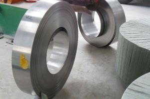 Stainless Steel Coils and Strips