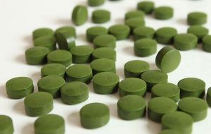 Moringa Tablets