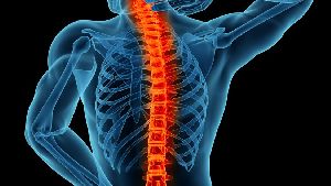 spine surgery services