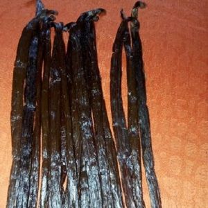 Vanilla Beans